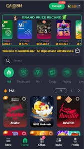 QAIDI804 game interface preview